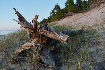 12 Mile Beach, Pictured Rocks, Michigan