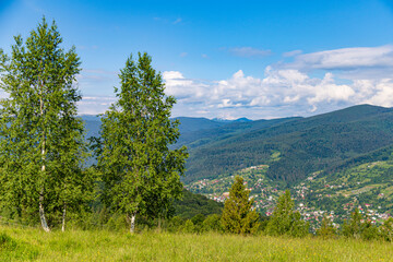 Fototapeta na wymiar Summer in Carpathian mountains. Ukraine
