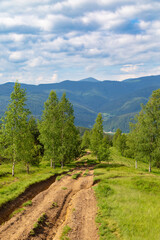 Summer in Carpathian mountains. Ukraine