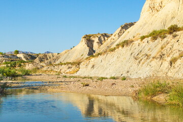 Nice tropical landscape with river and palm trees