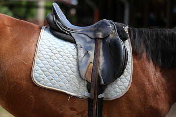 Photo of old leather saddle with stirrups
