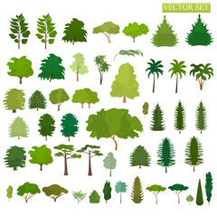 Vector set of different trees and bushes on a white background. Forest plants.