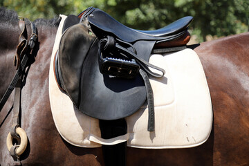 Photo of old leather saddle with stirrups