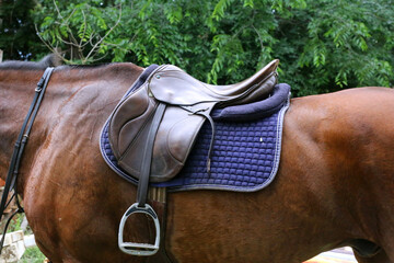 Photo of old leather saddle with stirrups