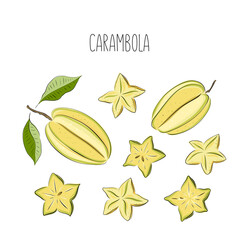 Carambola, star fruit. Whole, slice, leaf. Colorful sketch collection of tropical fruits isolated on white background. Doodle hand drawn fruit icons. Vector illustration
