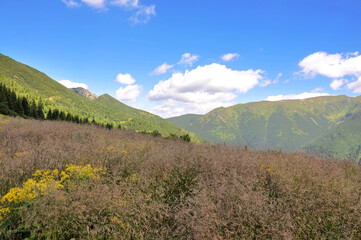Fototapeta na wymiar Szlak w Tatrach Zachodnich w słoneczny, letni dzień, Słowacja