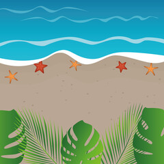 beach background summer holiday design with starfish and palm leaves vector illustration EPS10