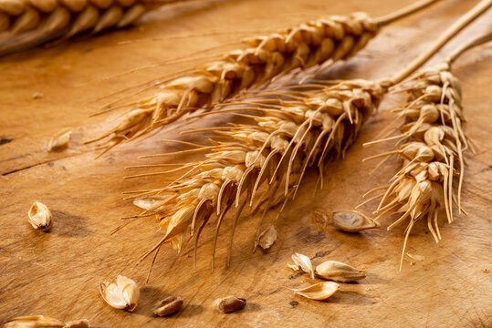 Spighe su legno