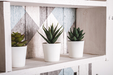 Plants with on a wooden shelf with an empty place for an inscription