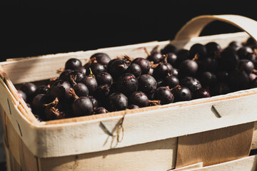 Black berries in a basket. Delicious, sweet berries
