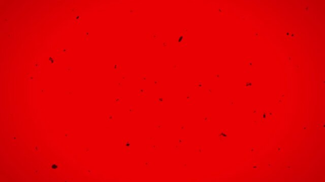 Effect of aged film on a red background HD