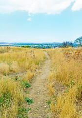View of the path among the grass on the hill