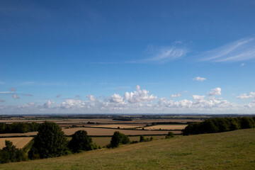 Farmland view in rural Hampshire with summer wheat crop and blue cloudy sky