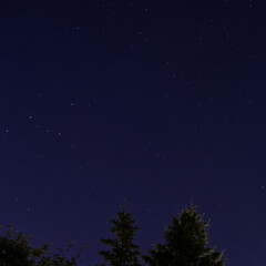 Night Sky with Stars