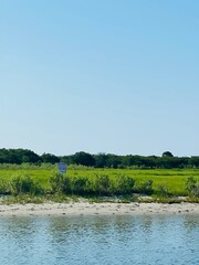 landscape with river