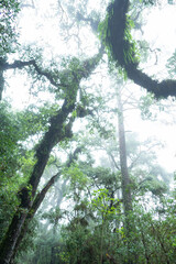 Naklejka premium el terrero