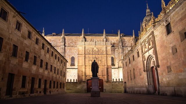 Foto nocturna de la ciudad espa&ntilde;ola Patrimonio de la Humanidad de Salamanca.Universidad co nestatua y catedral.
