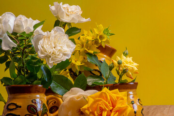 still life with white and yellow flowers