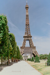 Fototapeta na wymiar View to the Eiffel tower from the garden of Champ de Mars