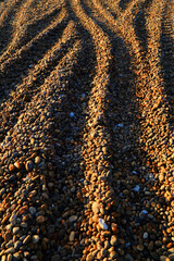 Detail of pebble beachwith long shadows