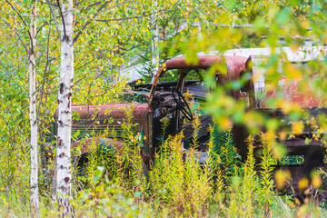 Car wreck in autumn forest