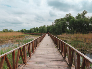 Fototapeta premium Girl walking on the wooden pathway above swamps and water surface of Kopacki Rit national park in continental Croatia