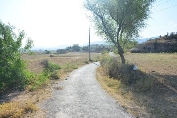 Village Life