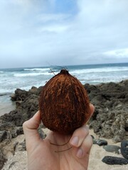 hand holding a coconut