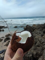 hand holding a broken coconut