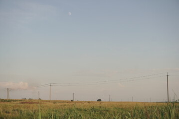 birds on electric wires