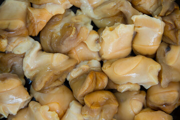 Pure raw rapana (Rapana pontica) meat as background texture close-up.