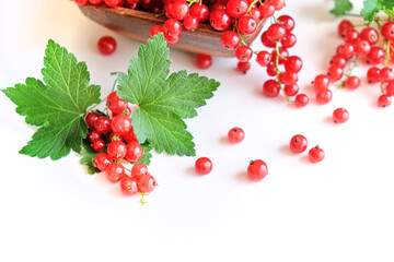 fresh red currant in a wooden bowl isolated on white background. summer harvest of vitamins.