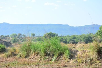 Village Life and Nature