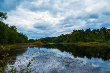 Landscape with pond in the forest near Almelo, Netherlands
