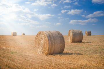 Big round bales on the field at sunset.
