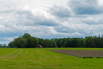 Fototapeta na wymiar Rural landscape with young corn field and heavy clouds near Almelo, Netherlands 