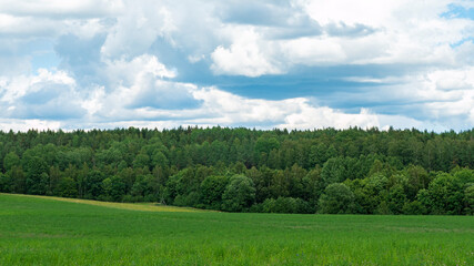 Photo displaying green pastures and a wood meadow on a slight incline in rural Sweden. Concept photo for landscape scenes and wallpaper backgrounds.