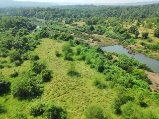 landscape with green hills and trees