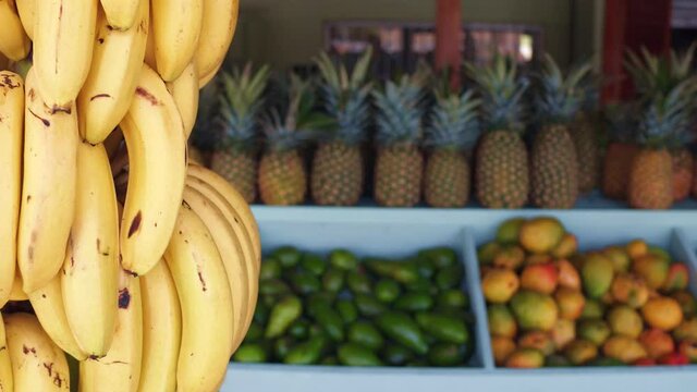 Close up of hanging bananas and blurred various tropical fruits on background on the large wooden counter of a fruit shop on tropical island