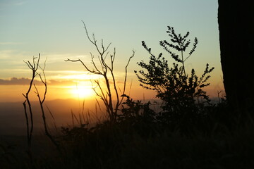 Obraz premium Por do sol com arvores