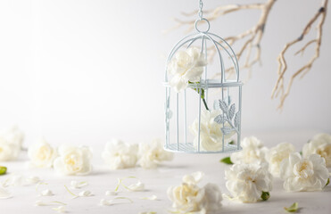 Still life with white flowers in bird cage on light backdrop. Creative concept for celebration of mother day, birthday, wedding or Valentines day