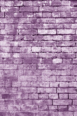 The background of the old violet brick wall for design interior and  various scenes or as a background for video interviews.