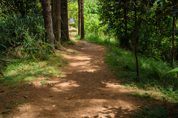 Dirt roads in the middle of the mountain