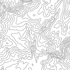 Topographic map, vector