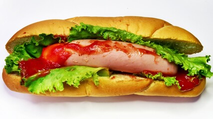 hot dog with mustard