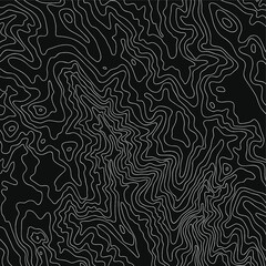 Fototapeta premium Topographic map, vector