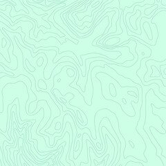 Topographic map, vector