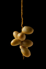 fresh dates  fruit on black background
