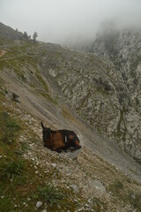 The dramatic landscape of the Picos de Europa mountains in Cantabria and Castile and León in Spain