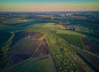 Aerial View From The Drone, A Bird'S Eye View To The Forest With Green Plantings